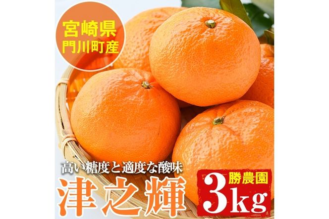 ＜先行予約受付中！2026年1月中旬～4月末の間に発送予定＞宮崎県門川町産津之輝(約3kg) みかん ミカン 蜜柑 柑橘 果物 くだもの フルーツ 冷蔵 宮崎県 門川町 【勝農園】【AE-14】