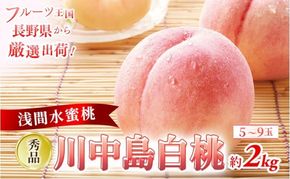 2026年発送 先行予約 「浅間水蜜桃プレミアム」 もも 川中島白桃 秀品 約2kg 5～9玉 ふるさと納税 果物 フルーツ モモ 果肉 デザート 酸味少なめ 硬め 長野県産 小諸市