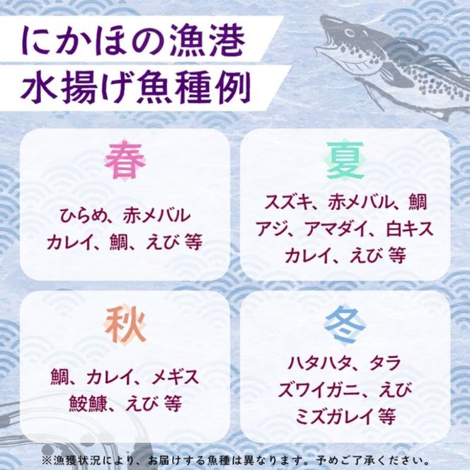 鮮魚 冷蔵 クール便「開けたらすぐ食べられる」下処理済み 海産物 1人前 さとう鮮魚店【一人暮らし 女性 男性 パック 詰め合わせ 海鮮セット 鮮魚ボックス 海鮮 海の幸 魚介 魚介類 切り身 秋田県 にかほ 】