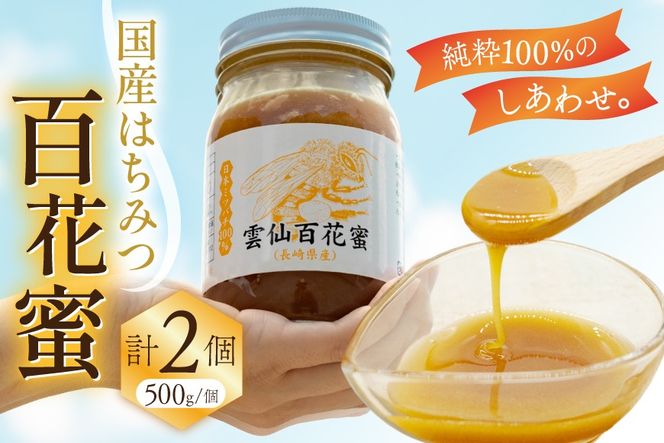 AJ446 はちみつ 国産 百花蜜 500g 2個 日本ミツバチ 純粋 100% [ 安中梅林を育てる会 蜂蜜 ハチミツ 非加熱 無添加 長崎県 島原市 ]