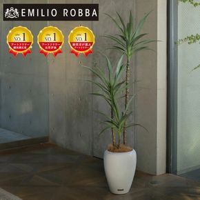 観葉植物 エミリオ・ロバ ユッカラン TUTTA90550 ユッカ アーティフィシャルグリーン 造花 インテリア 水やり不要 本物そっくり 名張市 三重県 リビング 玄関 ホテルライク ドラセナ ナチュラル