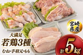 若鶏 むね 手羽元 もも 合計5kg 1kg包装 [アグリ産業匠泰 宮崎県 美郷町 31be0045] 小分け 鶏肉 冷凍 送料無料 炒め物 煮込み 調理 料理 大容量 真空 胸 ジューシー ヘルシー 唐揚げ からあげ チキン南蛮 照り焼き 甘辛煮 とり天 ヤンニョム チキン 普段使い 便利 セット 詰め合わせ 3種
