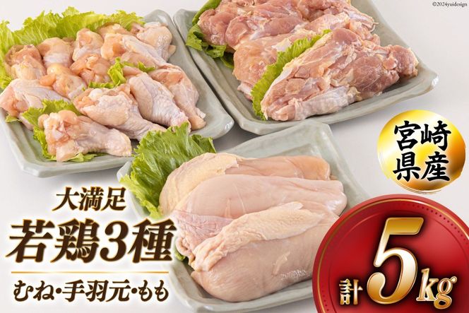 y{茧z{ ނ H  v5kg 1kg [AOYƏ {茧  31be0045]  { Ⓚ  uߕ ύ   e ^  W[V[ wV[ g 炠 `L ƂĂ Ðh ƂV j `L ig 