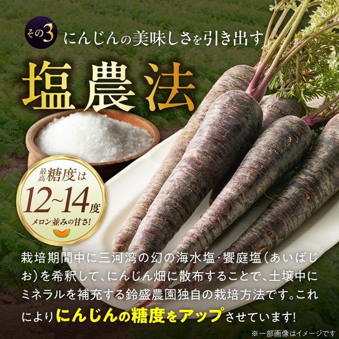 〈予約受付〉メディア出演多数！ 【期間限定】おどろきの甘さと抗酸化力！　黒人参『黒王』5Kg H022-014