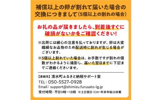 【6回定期便】大平原ファームの新鮮でおいしい卵 計40個(白卵)×6ヶ月_S035-0004