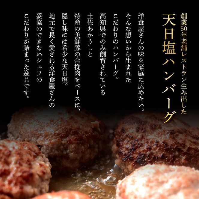 食べ比べ！完全天日塩仕込みハンバーグ3種各1個セット 田野屋青蜂 白鯆 完全天日塩 特製デミグラス 黄金しょうがソース付き 肉 お肉 おかず 惣菜 ジューシー おいしい 洋食 お取り寄せ 冷凍 配送 高知県 田野町