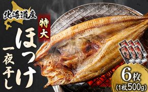 北海道産 ほっけ一夜干し（500～550g）×6枚 ｜ 釧路町の匠が贈る 北の至宝 ホッケ 干物 焼魚 焼き魚 白身魚 セット ひもの 魚干物 一人暮らし セット おかず 冷凍 スピード発送 すぐ届く 魚介類 海鮮 絶品 人気 ヒロセ すぐ発送 北海道 釧路町 釧路超 特産品