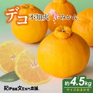 【2027年先行予約】「デコ」 不知火 約4.5kg 湯浅町田村産 (果実サイズおまかせ) 春みかん　紀伊国屋文左衛門本舗_V7076
