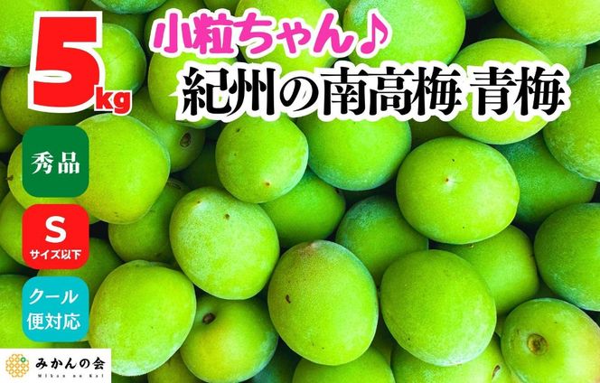 ［2026年6月上旬出荷］南高梅 青梅 秀品 小粒ちゃん 約5kg Sサイズ以下 和歌山県産 紀州有田 産地直送 クール便対応 梅酒作り用 梅ジュース作り用 AX392