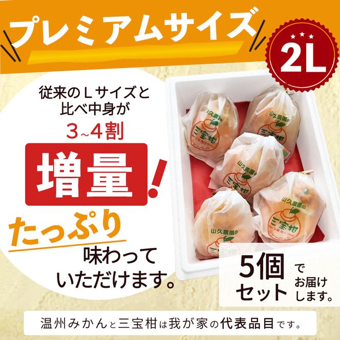 ZP6009_GFTn_【ギフト用】まるごと 三宝柑 シャーベット 5個 セット