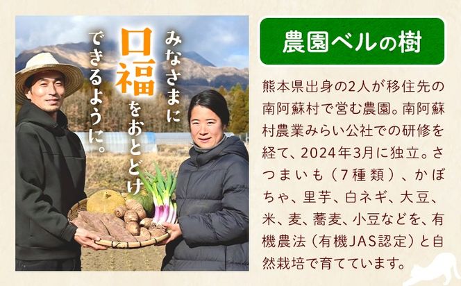 有機JAS認定 オーガニック さつまいも 選べる 5kg 10kg 農園ベルの樹《12月上旬-3月下旬頃出荷》熊本県 南阿蘇村 さつまいも オーガニック 有機栽培 薩摩芋---sms_blkost_ak123_r7_11500_5kg---