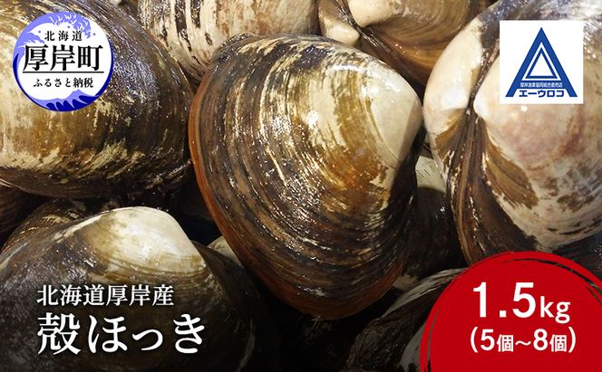 新鮮 北海道 厚岸産 殻ほっき 1.5kg (5個～8個) [ ホッキ 北寄 貝 産地直送 魚介類 バーべキュー ]
