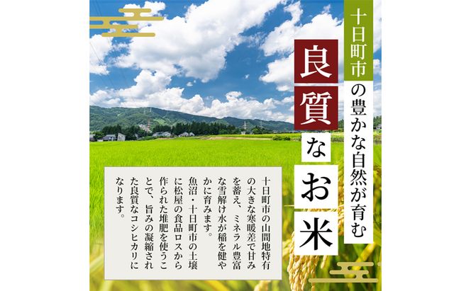 松屋フーズ 最高級 魚沼産コシヒカリ 2kg