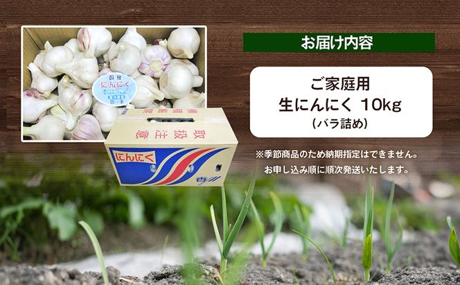 ご家庭用生にんにく 約10kg 野菜 野菜セット ニンニク 