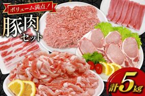 豚肉 宮崎県産豚肉 5kg 詰め合わせ セット [TRINITY 宮崎県 日向市 452061325] 小分け 豚 肉 宮崎 ロース スライス 豚バラ とんかつ 切り落とし ミンチ 豚ミンチ ひき肉 真空パック