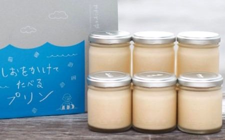 しおが主役 しおをかけてたべる プリン 花塩 プレーン 6個 セット 糸島市 / またいちの塩 [AEB001] プリン ギフト 塩 お菓子 テレビ スイーツ デザート 詰め合わせ