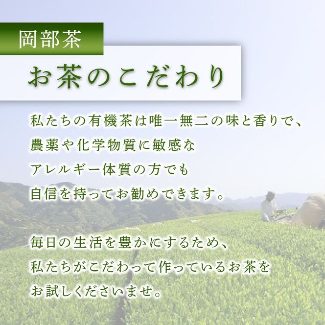 緑茶 茶葉 深蒸し茶 400g×1袋 400g 岡部茶 静岡県産 カテキン お茶 茶 おちゃ 茶葉 二番茶 深蒸し製法 深蒸し煎茶 香り 家庭用 渋み 藤枝市 静岡県
