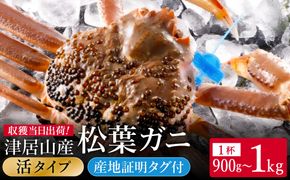 期間・数量限定 タグ付き 津居山産 松葉ガニ 1杯 / 活 900g～1kg / 新鮮 松葉がに 松葉蟹 ズワイガニ ずわいがに かに カニ 蟹 冷蔵 海鮮 お取り寄せ グルメ 兵庫県 豊岡市 津居山漁港 但馬漁業協同組合