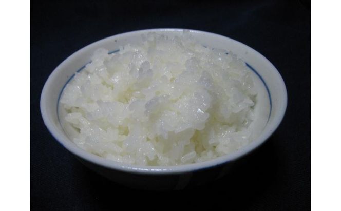 【令和7年産】魚沼産コシヒカリ金印(玄米)5kg 米 お米 こしひかり 玄米 中魚沼 新潟県 十日町市