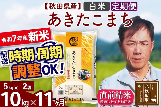 ※令和7年産 新米※《定期便11ヶ月》秋田県産 あきたこまち 10kg【白米】(5kg小分け袋) 2025年産 お届け時期選べる お届け周期調整可能 隔月に調整OK お米 みそらファーム|msrf-12111