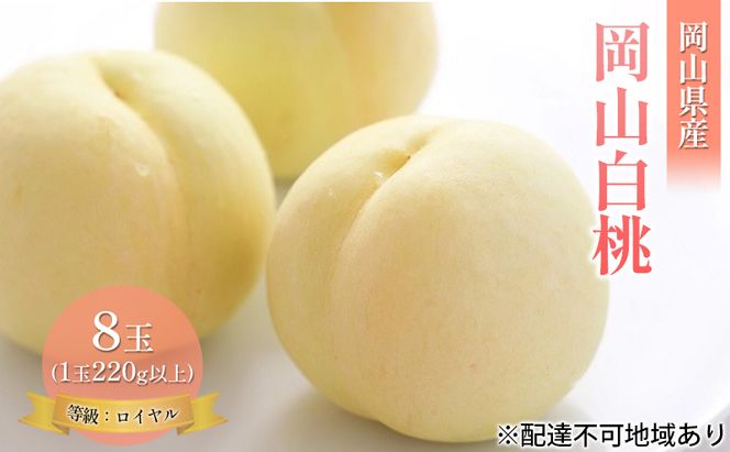 桃 2026年 先行予約 岡山 白桃 8玉 約1.8kg 等級：ロイヤル（1玉 220g以上） もも モモ 岡山県産 国産 フルーツ 果物 ギフト
