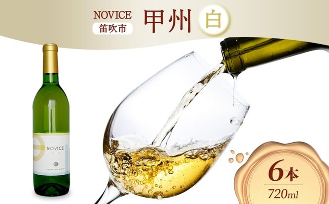 白ワイン NOVICEノヴィス 甲州 720ml×6本 フルボトル ワイン お酒 白 山梨 送料無料 日川中央葡萄酒 山梨県 笛吹市 177-7-30