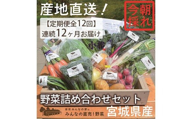 野菜 定期便 12ヵ月 朝どれ 野菜セット 8～10個 詰め合わせ 岩沼みんなの家 みんなの直売! 季節の野菜 旬の野菜 旬 東北 震災 支援 12ヶ月 産地直送 送料無料 冷蔵 冷蔵配送 宮城県産 宮城 宮城県 岩沼市 定期 12回