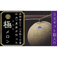 数量限定！『クラウンメロン 山等級 ”極みメロン” 3玉』 ギフト箱入 人気 厳選 ギフト 贈り物 デザート グルメ 果物 袋井市 果物類 メロン青肉 フルーツ 