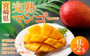 ＜宮崎県 完熟マンゴー4L×2玉 1kg＞2025年4月上旬～7月中旬迄に順次出荷【c1163_hi_x1】