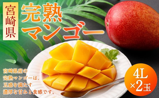 ＜宮崎県 完熟マンゴー4L×2玉 1kg＞2026年4月上旬～7月上旬までに順次出荷【c1163_hi_x2】 マンゴー 完熟 果物 くだもの フルーツ 高鍋町
