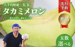 【 先行予約 2026年 6月上旬以降発送】 選べる玉数 令和8年産 八千代町産 タカミメロン 秀品 2玉 3玉 4-6玉 約3.5kg 約5kg 約6kg 期間限定 産地直送 果物 フルーツ メロン 甘い 人気 タカミ 貴味 [AX039-63ya][SZRY]