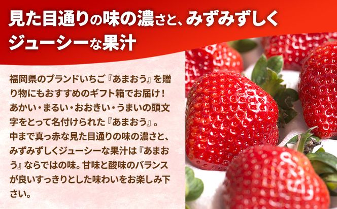 いちご 福岡産 あまおう ギフト箱（24-30粒） 苺 イチゴ ギフト フルーツ 果物 ※配送不可:離島