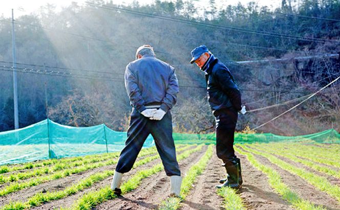 もち麦商品詰め合わせB 高梁市 宇治町産 お酒 ビール 米 セット