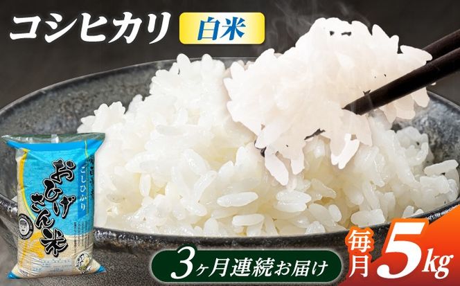 【3回定期便】コシヒカリ 白米 5kg×3か月 / 脇野コンバイン[AECP024]