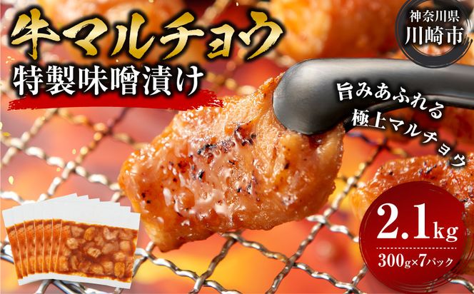 ＜訳アリ＞牛マルチョウ　特製味噌漬け　2.1kg(300g×7）【12月発送】 【kw0096-0041-12】
