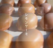 焼き菓子 TRICKLE　レモンケーキ　6個入り 197-005 ※沖縄県・離島発送不可となります