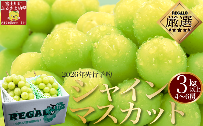 yRxm쒬zy2026N s\zjK@`΂̕΁EVC}XJbg`@RȏiS`U[j t[c RY ʕ VC }XJbg Ԃǂ uhE 嗱 Ȃ 햳 s\ xm쒬