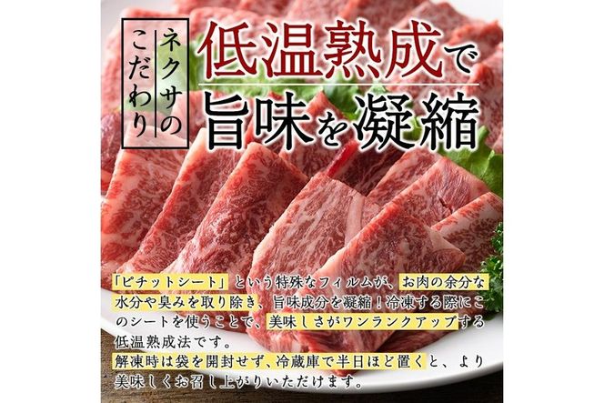 おおいた和牛 上カルビ・上ロース焼肉セット (合計450g・上カルビ250g+上ロース200g) 国産 牛肉 肉 霜降り 低温熟成 A4 和牛 ブランド牛 カルビ ロース 焼肉 BBQ 冷凍 【DH210】【(株)ネクサ】