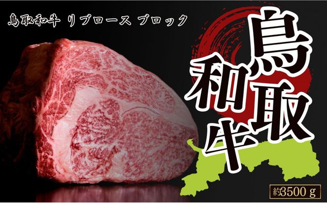 y挧sza u[X ubN 3500g 312011_CV022