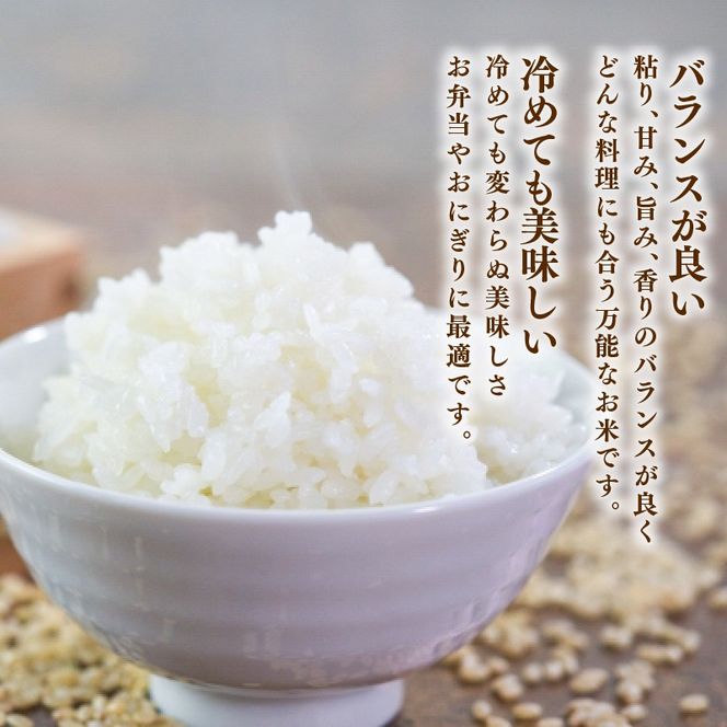 新米 ひとめぼれ 5kg 岩手県産 米 白米 はくまい コメ rice ごはん 常温 常温保存 保存 農家 農作物 栄養 夕飯 大船渡 三陸 岩手県 国産 [owada008_2]