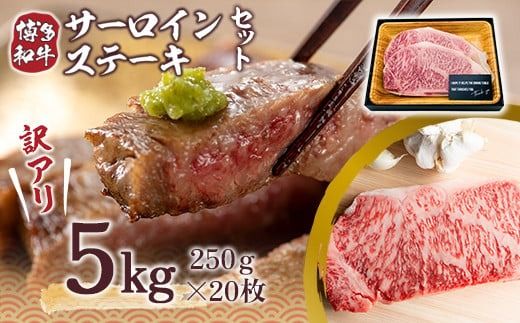 訳あり 博多和牛 サーロイン ステーキ 250g×20枚 計5kg [MEAT PLUS 福岡県 宇美町 um40azp010024] セット 牛肉 サーロインステーキ 肉 和牛