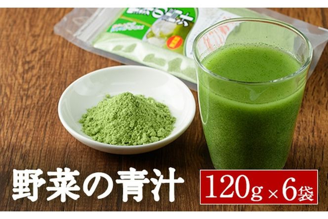  野菜の青汁 (計720g・120g×6P) 青汁 粉末 ダイエット 健康食品 野菜 食物繊維 大分県 佐伯市【EC02】【天然素材 (株)】