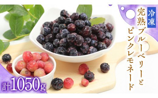 【 数量限定 】 冷凍 完熟 ブルーベリー 700g と ピンクレモネード 350g の 詰合せ セット 食べ比べ (1パックあたり 350g )  ベリー 甘い 甘酸っぱい 完熟 新鮮 フルーツ 果物 くだもの 贈り物 贈答 ギフト 国産 茨城 農園 産地直送 [AL004us]