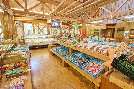 脊振ジビエ イノシシ肉スライスセット ロース＆バラ 約600g 【脊振 ジビエ イノシシ肉 ロース バラ】(H044123)