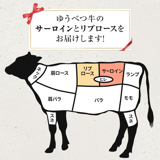 北海道産 ゆうべつ牛 ステーキセット 約590g（サーロインステーキ3枚、リブロースステーキ1枚） サーロイン リブロース ステーキ肉 お肉 牛肉 赤身 冷凍 湧別牛 冷凍 国産 遺伝子 オホーツク 焼肉 バーベキュー 