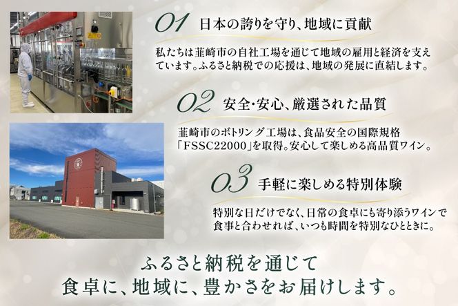 ワイン 白 シエロアンディーノ・ホワイト 720mL×12本 [株式会社カサ・ピノ・ジャパン 山梨県 韮崎市 20745578] 白ワイン 12本 セット まとめ買い 大容量 デイリーワイン テーブルワイン チリ産 普段飲み 宅飲み お酒 蔵元 洋酒