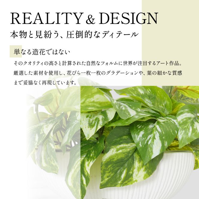 エミリオロバ　卓上プランツＡセット