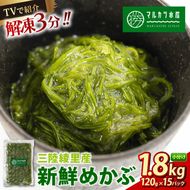 TVで紹介 めかぶ 1.8kg(120g×15) 冷凍 ゆで切り 三陸 漁師 小分け 惣菜 海藻 海産物 味噌汁 ごはん 夕飯 おかず 個包装 海藻 三陸 三陸産 雌株 無添加 岩手県 国産 大船渡 [marukatu001]