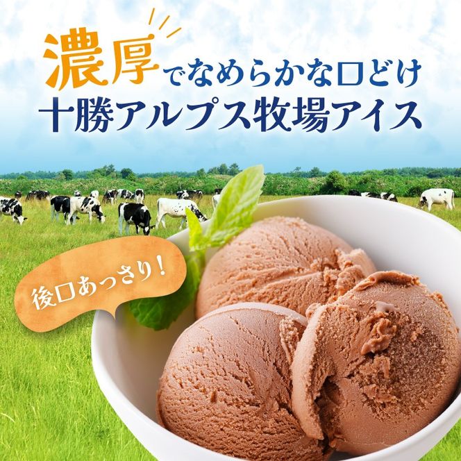 ”希少なブラウンスイス生乳使用” 十勝アルプス牧場 濃厚ショコラアイス6個セット_S020-0018