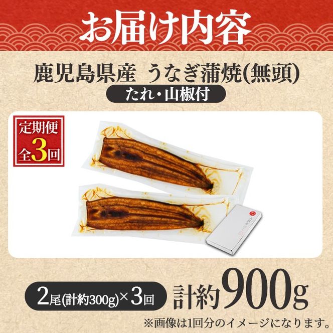 【0304303b】＜定期便・全3回＞東串良町のうなぎ蒲焼(無頭)(2尾・計約300g・タレ、山椒付×3回)うなぎ 高級 ウナギ 鰻 国産 蒲焼 蒲焼き たれ 鹿児島 ふるさと 人気【アクアおおすみ】